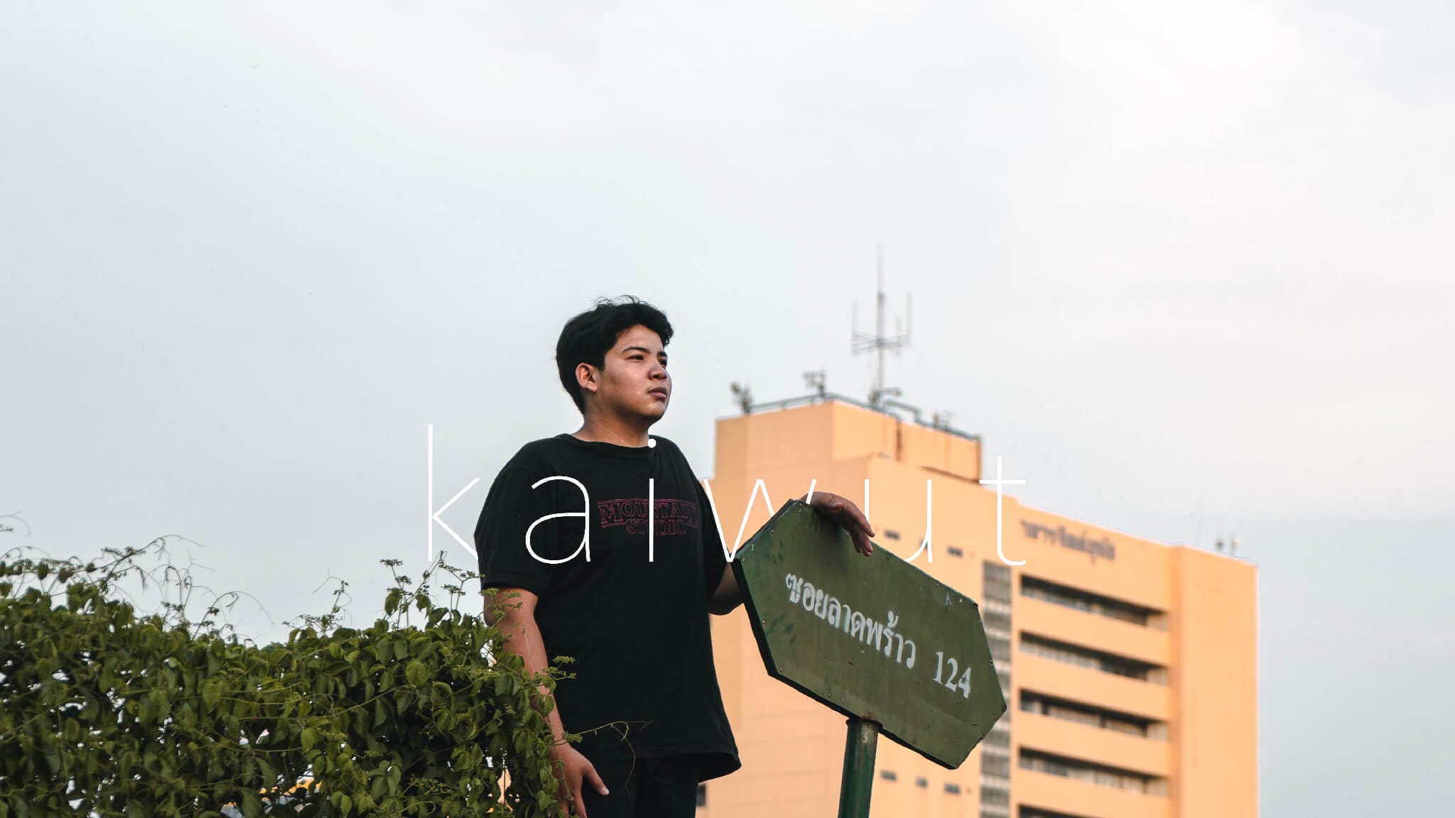 ประสบการณ์ฝึกงาน,intership experience