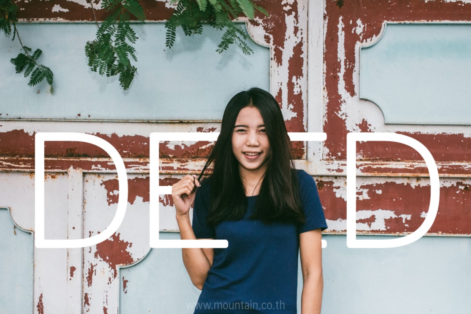 ประสบการณ์ฝึกงาน,intership experience