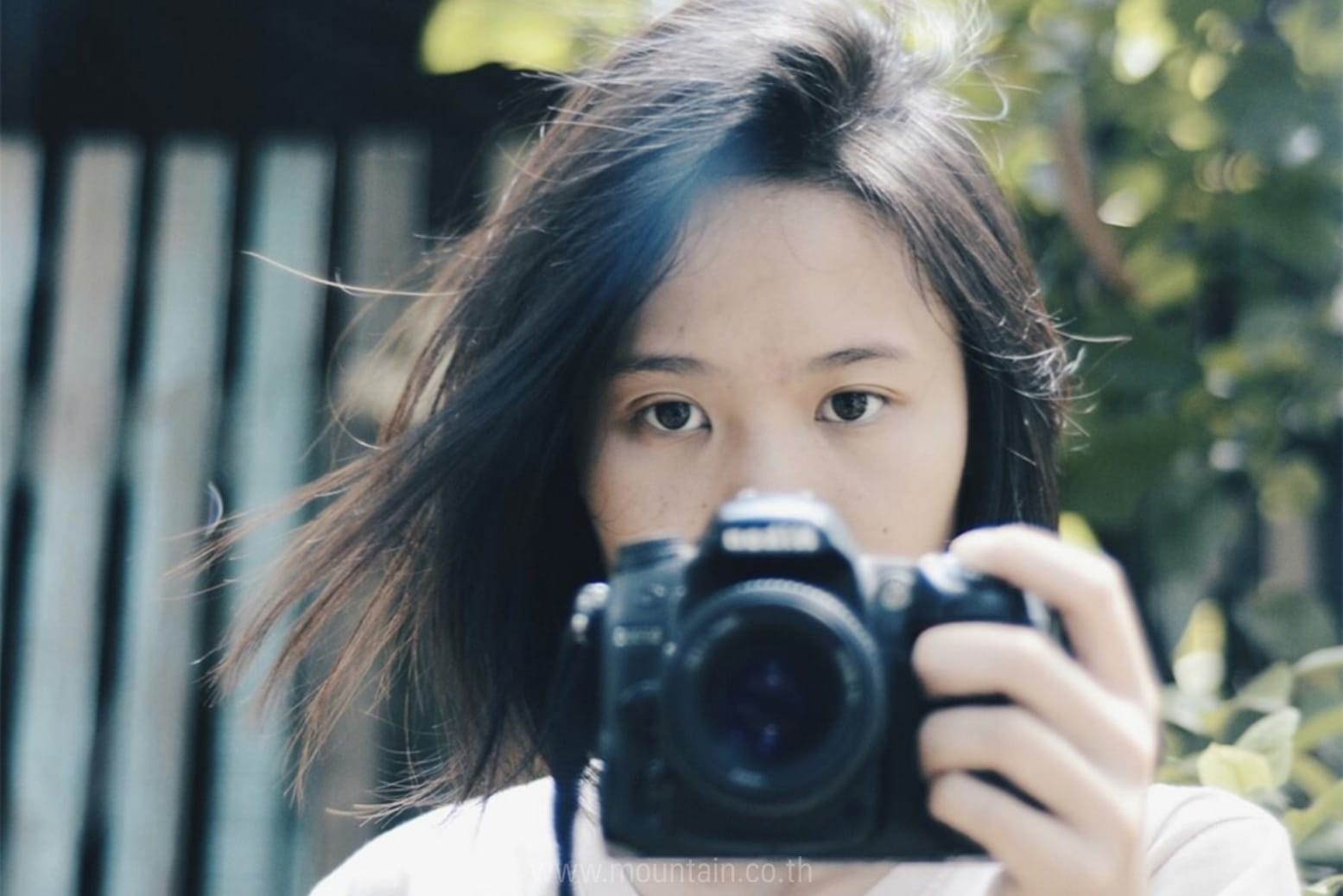 ประสบการณ์ฝึกงาน,intership experience