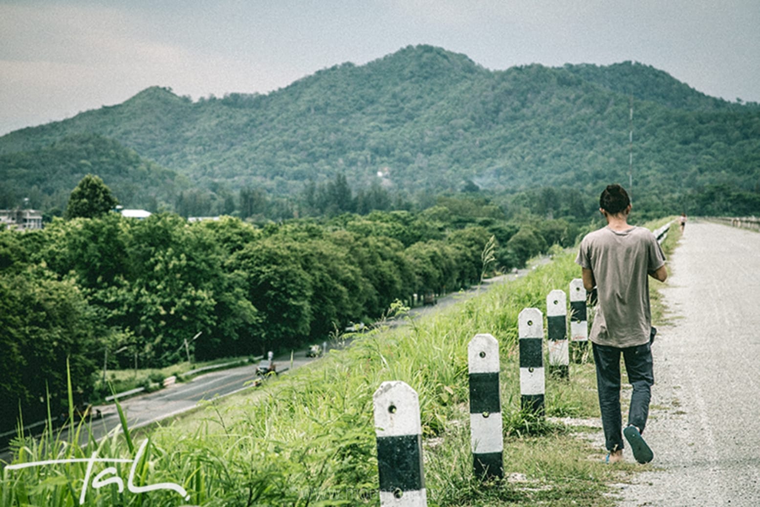 ประสบการณ์ฝึกงาน,intership experience
