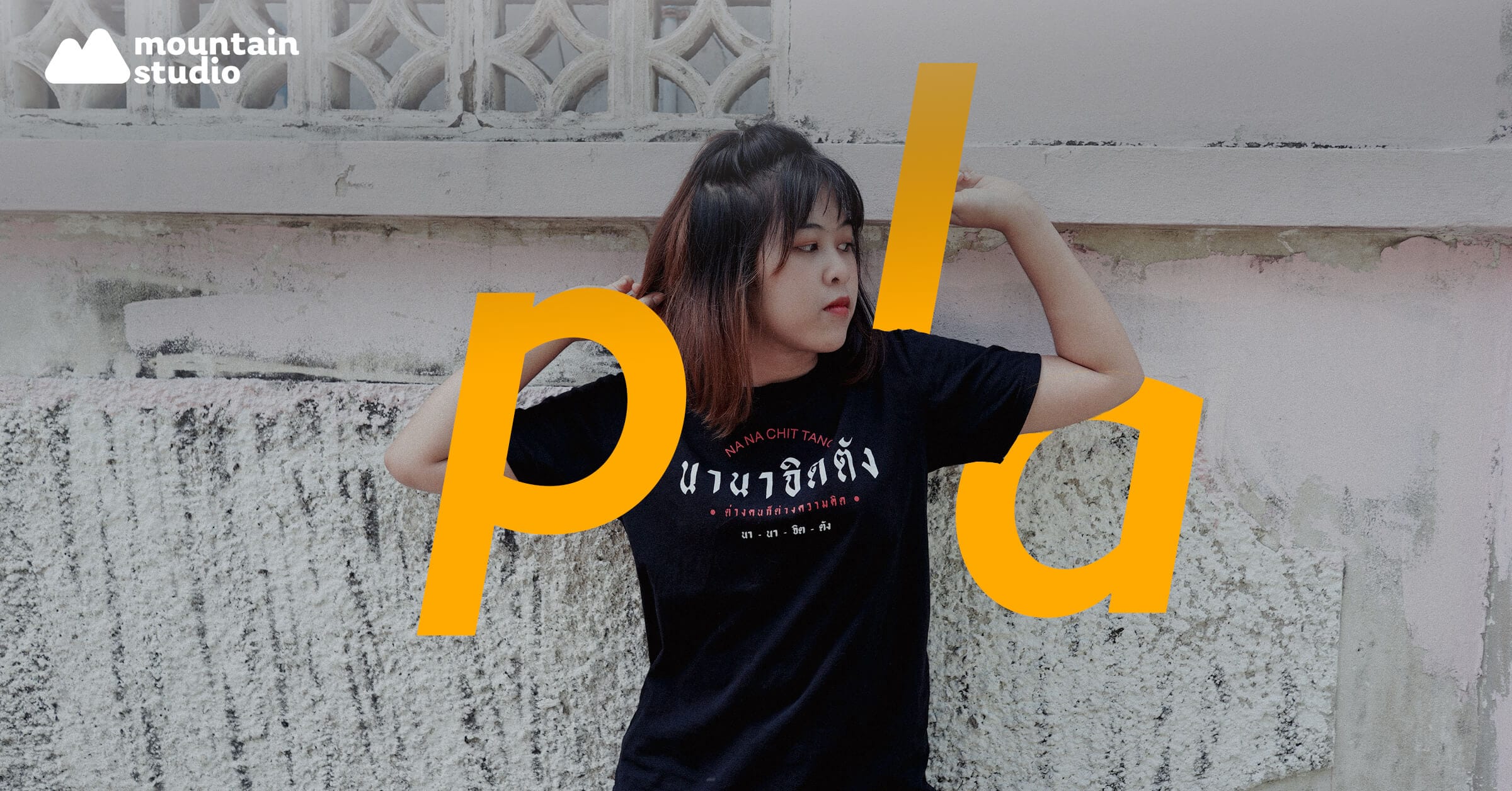 ประสบการณ์ฝึกงาน,intership experience
