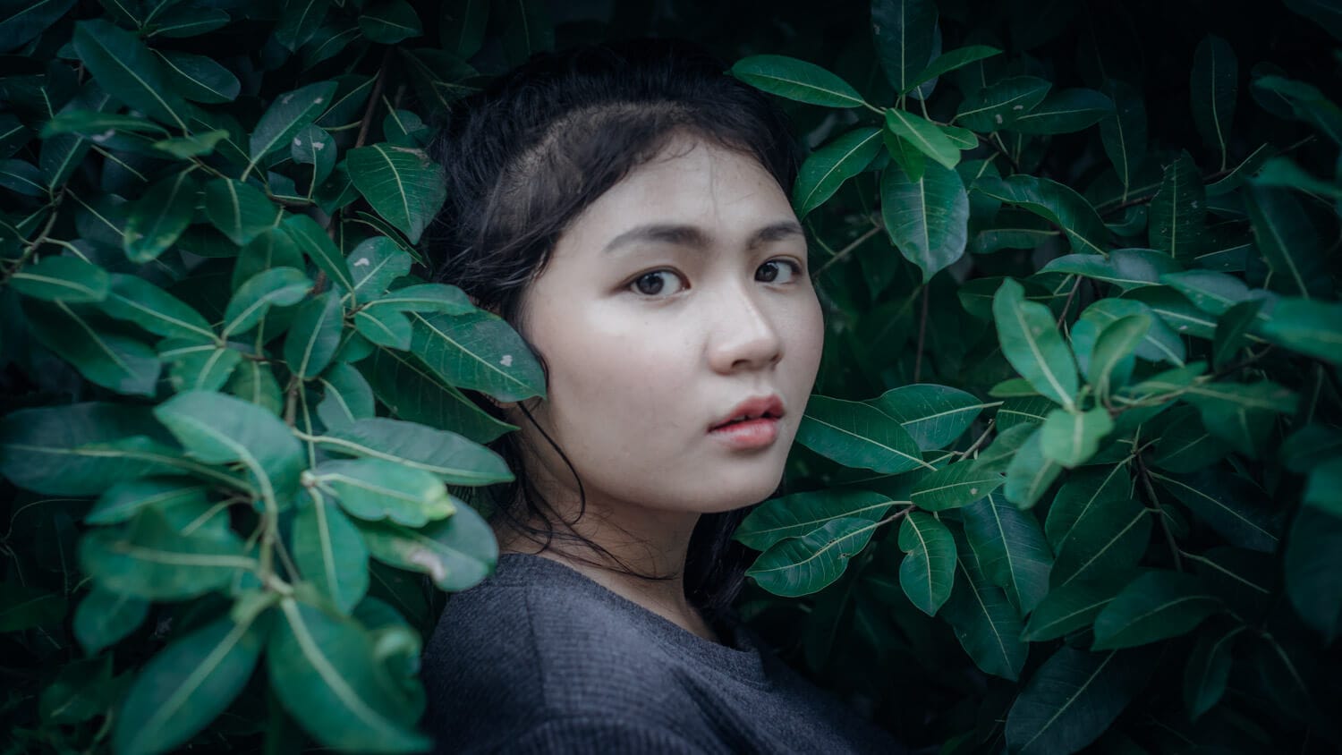 ประสบการณ์ฝึกงาน,intership experience